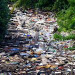 Waspada, Buang Sampah Sembarangan Akan Terjerat Hukum