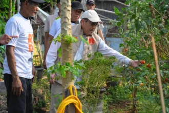 Suswono Dorong Ketahanan Pangan Jakarta Melalui Program BAKWAN