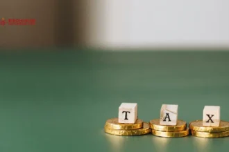 Mengenal Apa Itu Tax Amnesty dan Bagaimana Proses di Indonesia?