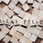 Peran Partai Politik dalam Demokrasi Indonesia