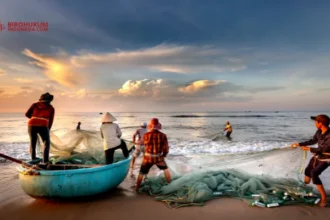 Destructive Fishing: Pengertian, Jenis, hingga UU yang Mengatur